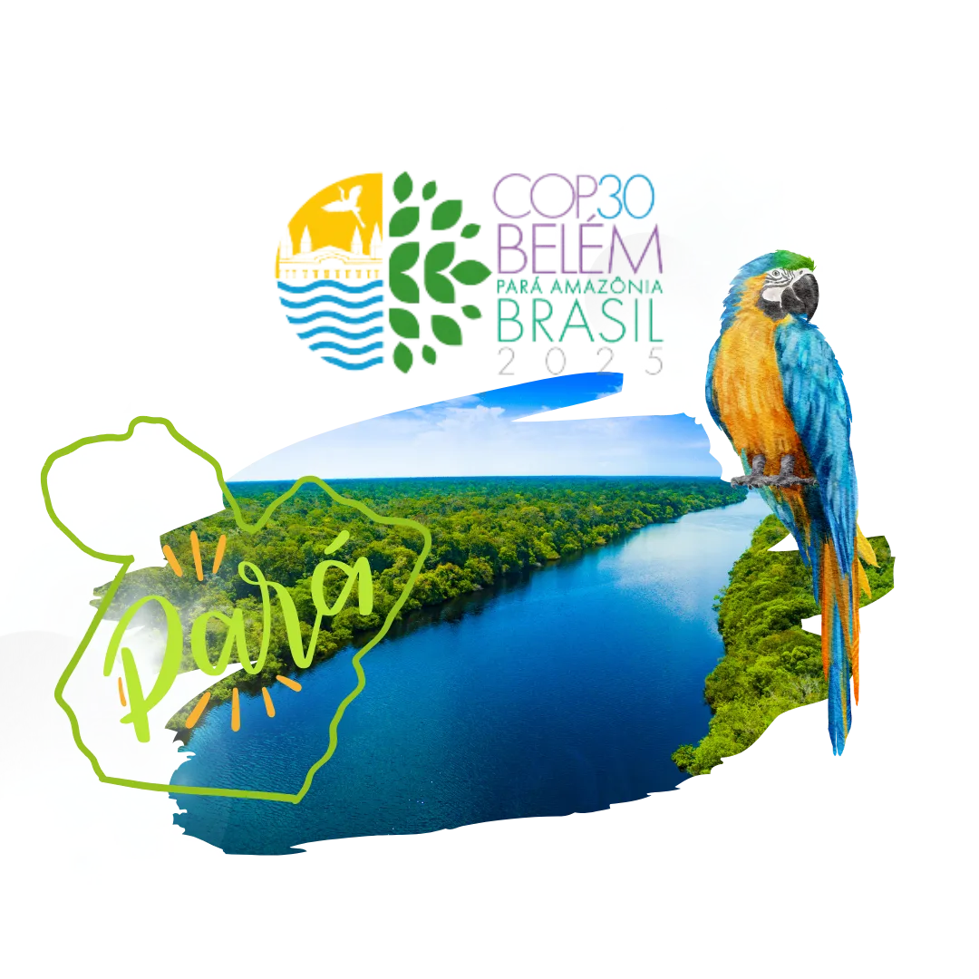 Criação de sites em Belém - PARÁ